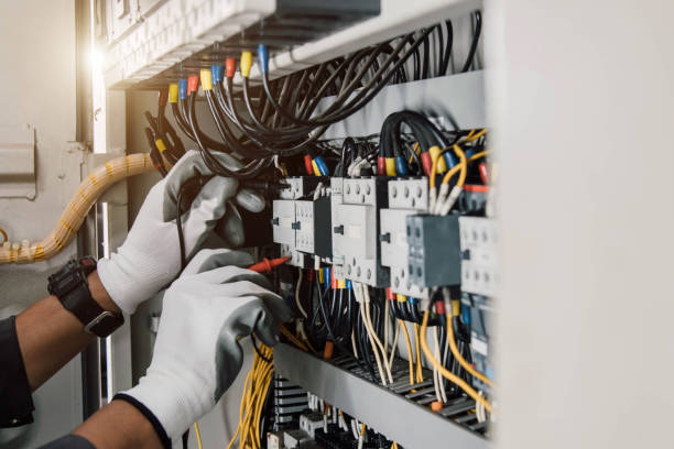 Best Electric Panel Repair  in Holly Hill, FL